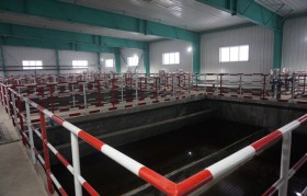 豆制品污水水质特征有什么？处理难点和工艺有哪些？